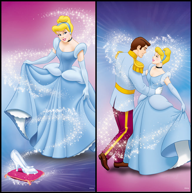 disney princess cinderella and prince. Cinderella Slipper Prince Self