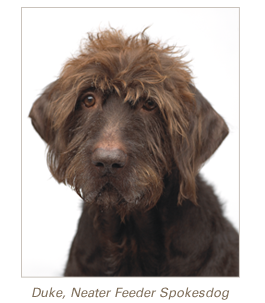Duke, Neater Feeder Spokesdog